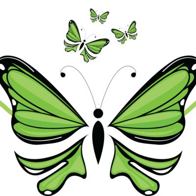 Special Butterfly  Thumbnail